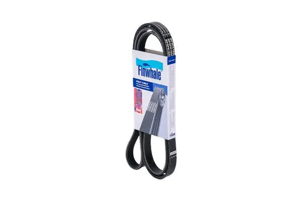 V-Ribbed Belt (BP5PK1850)