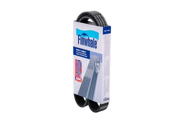 V-Ribbed Belt (BP683)