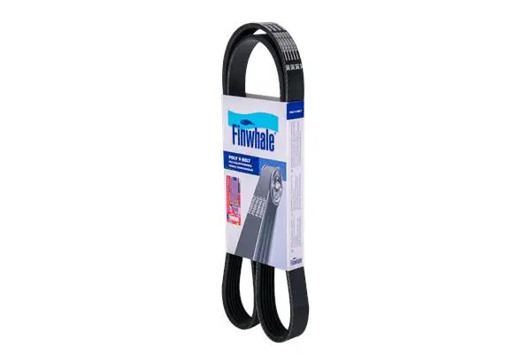 V-Ribbed Belt (BP6PK1255)