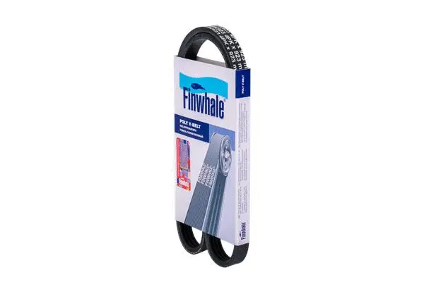 V-Ribbed Belt (BP4PK923)