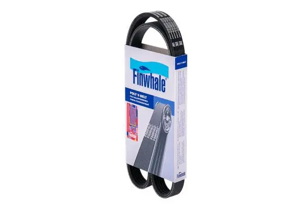 V-Ribbed Belt (BP5PK970)