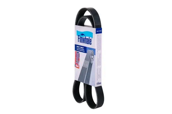 V-Ribbed Belt (BP6123)