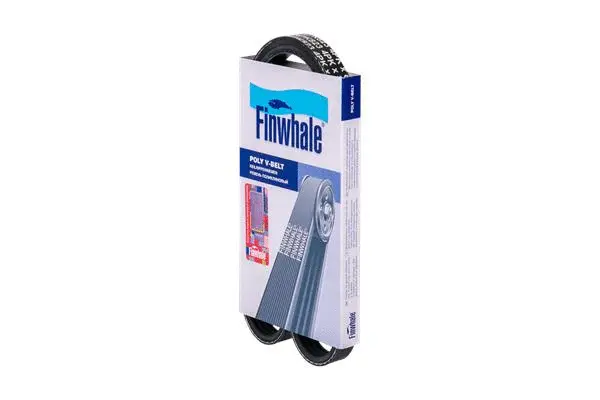 V-Ribbed Belt (BP4PK823)