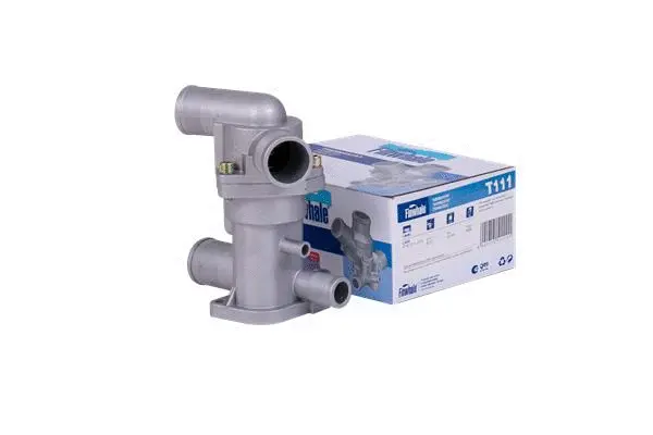 Thermostat, coolant (T111)