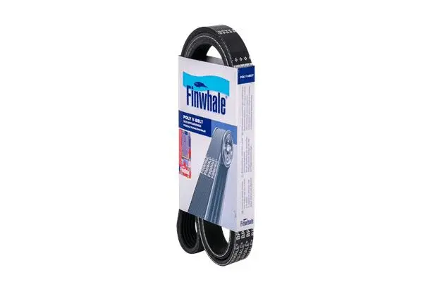 V-Ribbed Belt (BP6PK1453)