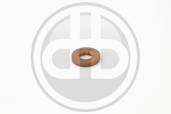 Seal Ring, injector (X11-800-002-004Z)