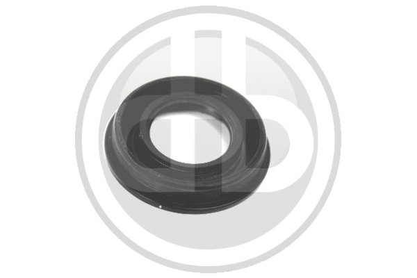 Seal Ring, injector shaft (6A42180)