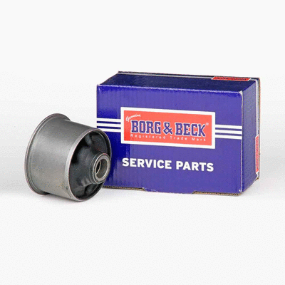 Mounting, control/trailing arm