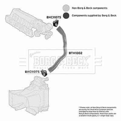 Charge Air Hose (BTH1002)