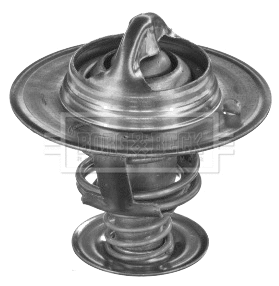 Thermostat, coolant (BTS204.88)