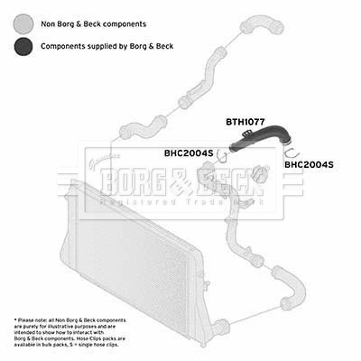 Charge Air Hose (BTH1077)