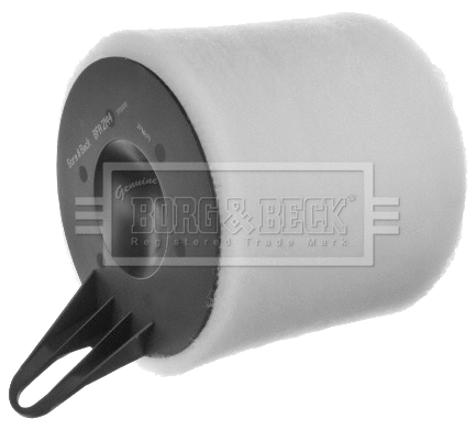 Air Filter (BFA2144)