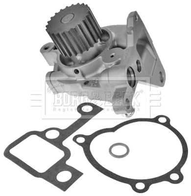Water Pump, engine cooling (BWP2161)