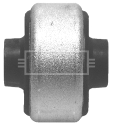 Mounting, control/trailing arm (BSK6122)