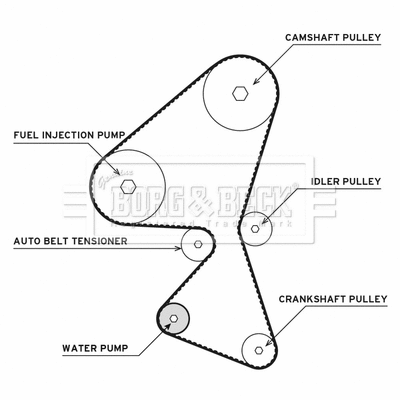 Water Pump & Timing Belt Kit (BTW1009)