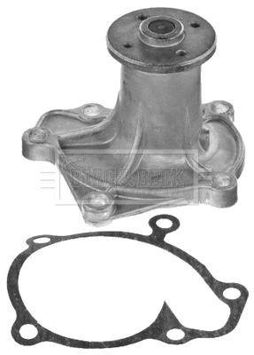 Water Pump, engine cooling (BWP1221)