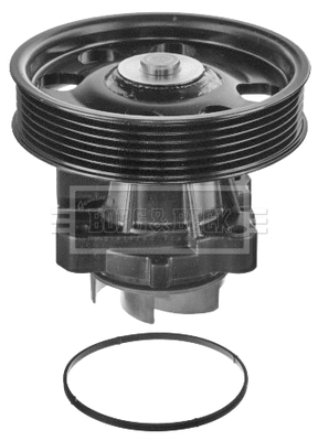 Water Pump, engine cooling (BWP2236P)