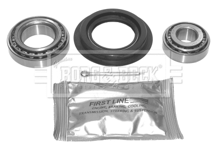 Wheel Bearing Kit (BWK197)