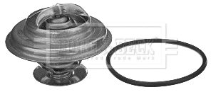 Thermostat, coolant (BBT239)