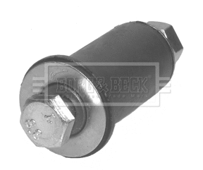 Mounting, control/trailing arm (BSK6622)