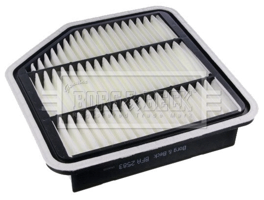 Air Filter (BFA2583)