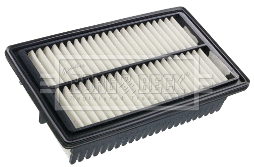 Air Filter (BFA2541)