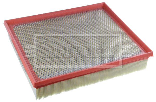 Air Filter (BFA2587)