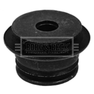 Bushing, axle bracket (BSM2003)