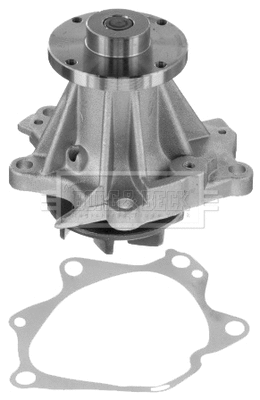 Water Pump, engine cooling (BWP1624)