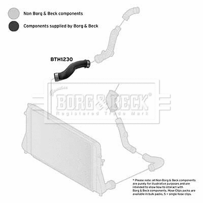 Charge Air Hose (BTH1230)