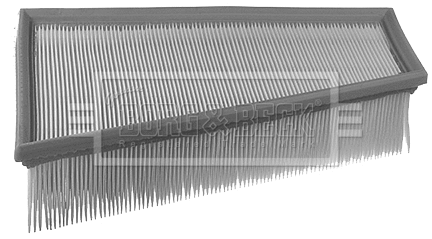 Air Filter (BFA2012)