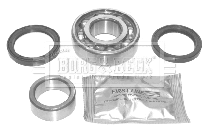 Wheel Bearing Kit (BWK667)