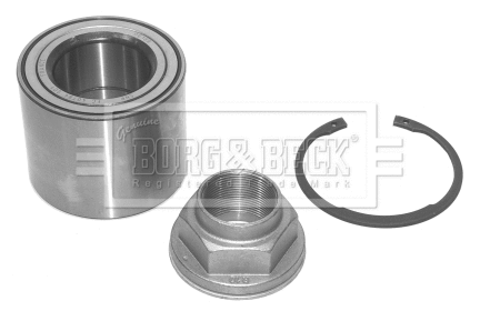 Wheel Bearing Kit (BWK969)
