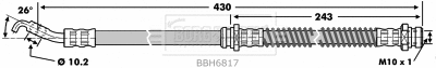 Brake Hose (BBH6817)