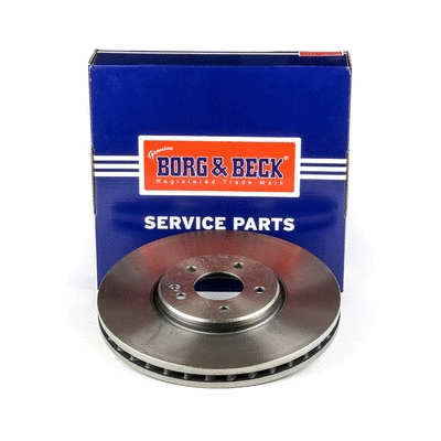 Brake Disc (BBD6196S)