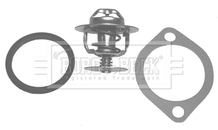 Thermostat, coolant (BBT028)
