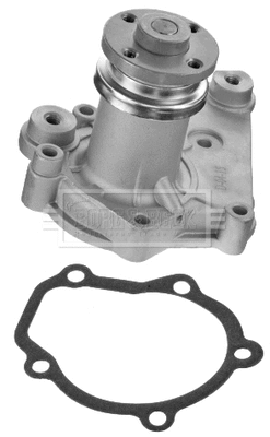 Water Pump, engine cooling (BWP1437)