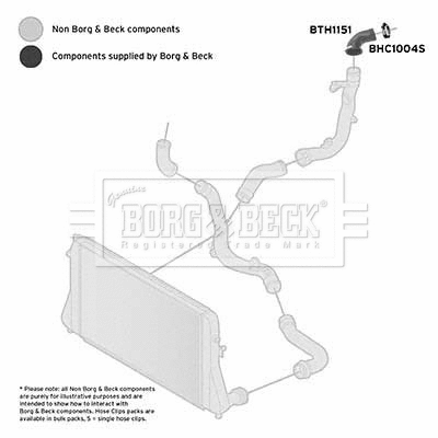 Charge Air Hose (BTH1151)