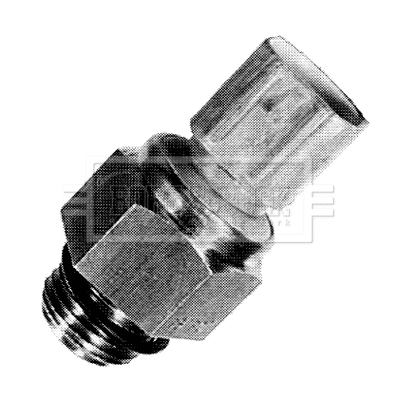 Temperature Switch, radiator fan (BTS888.100)