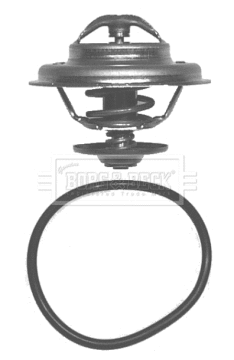 Thermostat, coolant (BBT022)