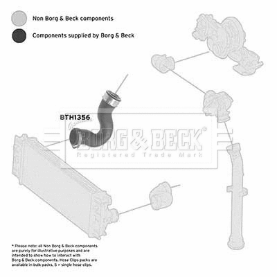Charge Air Hose (BTH1356)