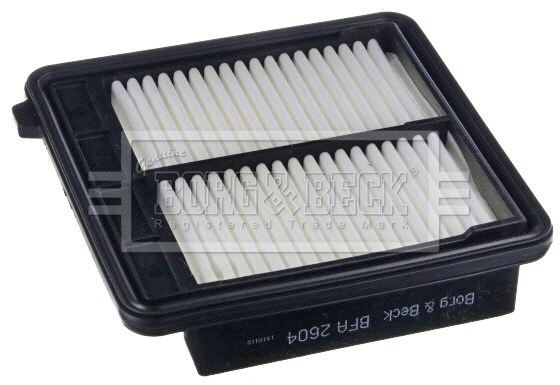 Air Filter (BFA2604)