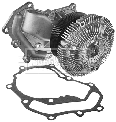 Water Pump, engine cooling (BWP2154)