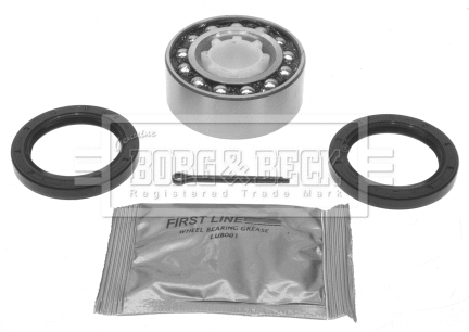 Wheel Bearing Kit (BWK266)