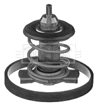 Thermostat, coolant (BBT393)
