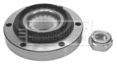 Wheel Bearing Kit (BWK071)