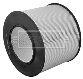 Air Filter (BFA2150)