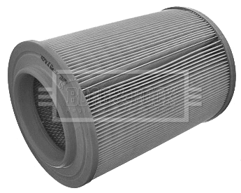 Air Filter (BFA2162)