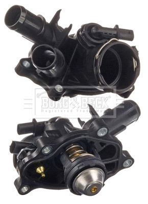 Thermostat, coolant (BBT448)