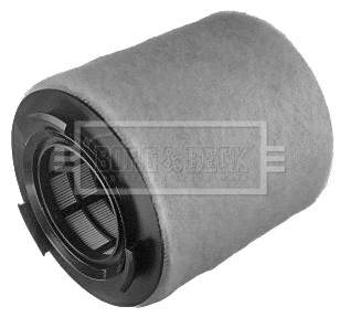 Air Filter (BFA2210)